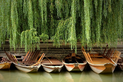 Tübingen