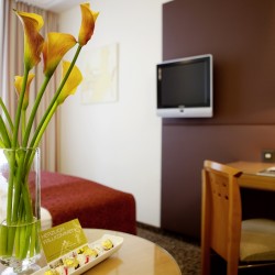 Room with beautiful details in the Hotel Das Tigra in Vienna