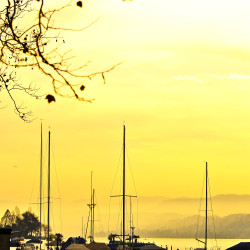 Hotel Zuerich_Zürichsee